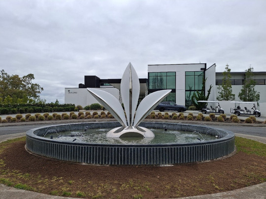 Zealong Tea Estate-汉密尔顿必去景点