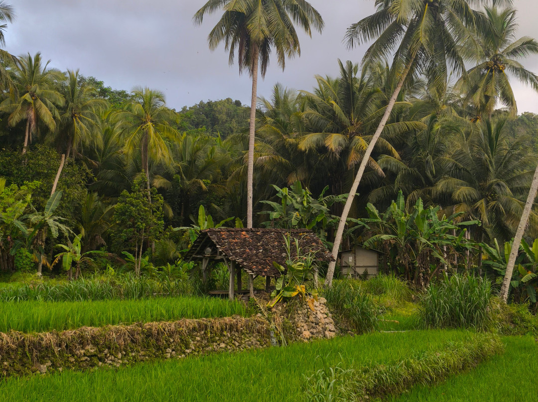 ViaVia Jogja Tour & Travel-Yogyakarta必去景点