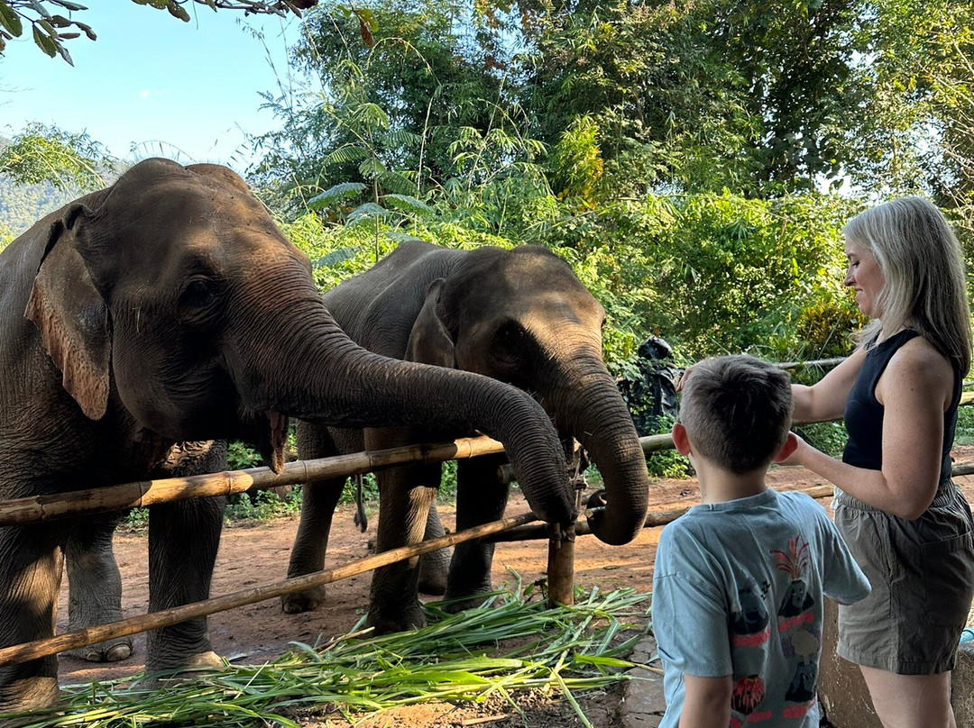 Elephant Sanctuary Care Park-清迈必去景点