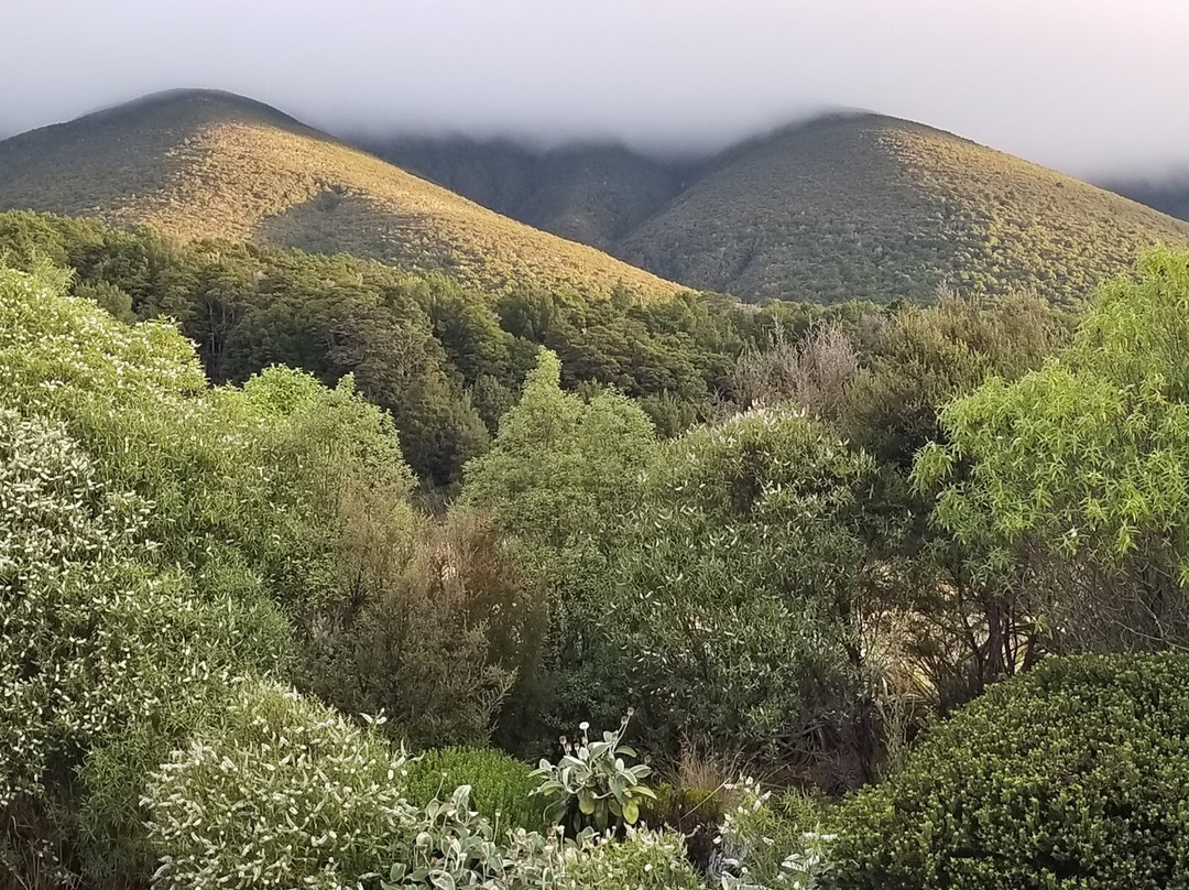 Nelson Lakes Homestay主图