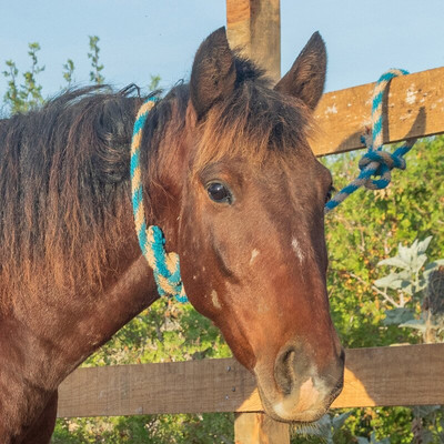 Cerritos Cowboy-Playa Cerritos必去景点