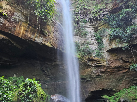 Praia Rica Ecoturismo - expedições personalizadas no Cerrado brasileiro-Palmas必去景点