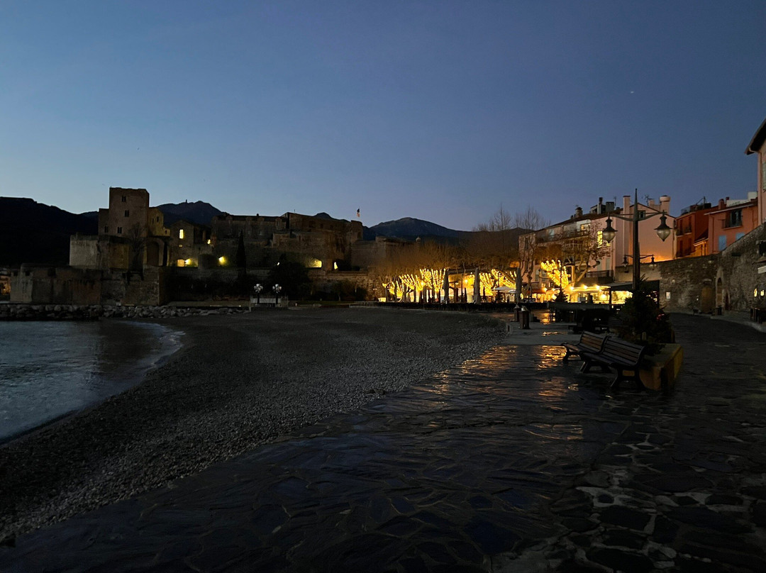 Hôtel Restaurant La Frégate Collioure主图