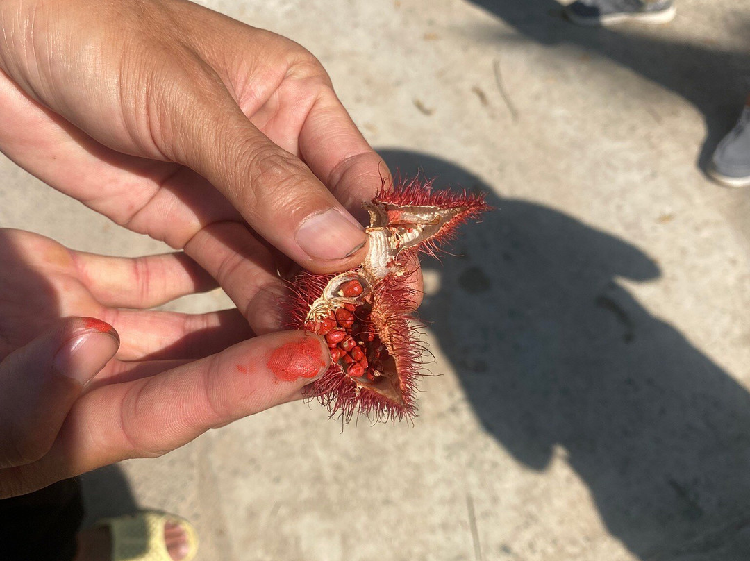 Phu Quoc Countryside-富国岛必去景点