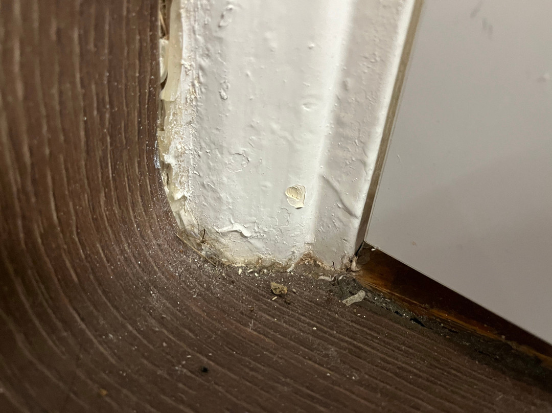 Travelodge Hellingly Eastbourne主图