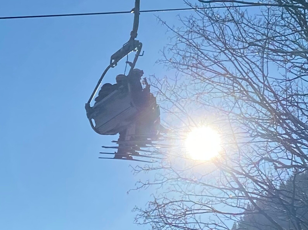 Das Naturhotel Chesa Valisa主图