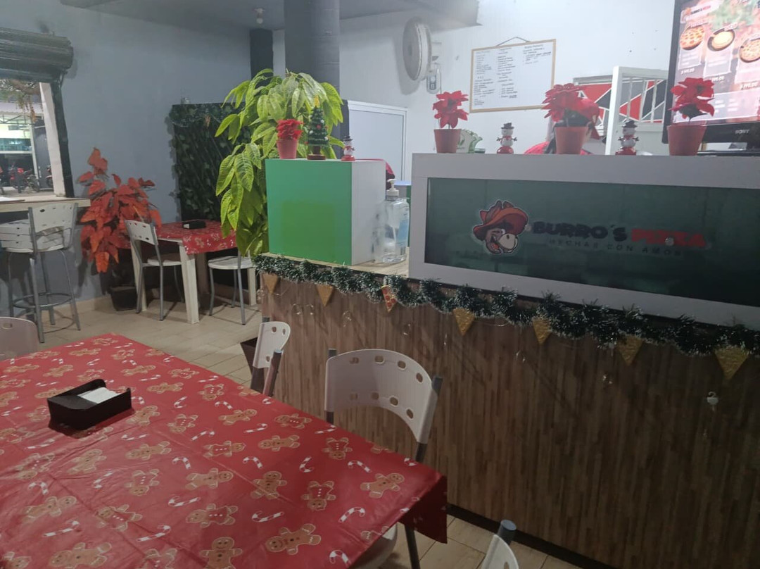 Burro's Pizza