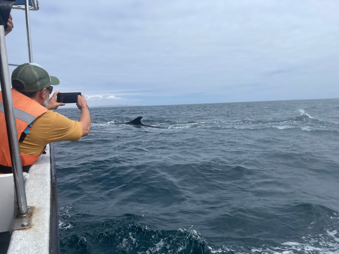 Turismo Physalus-Chanaral de Aceituno必去景点