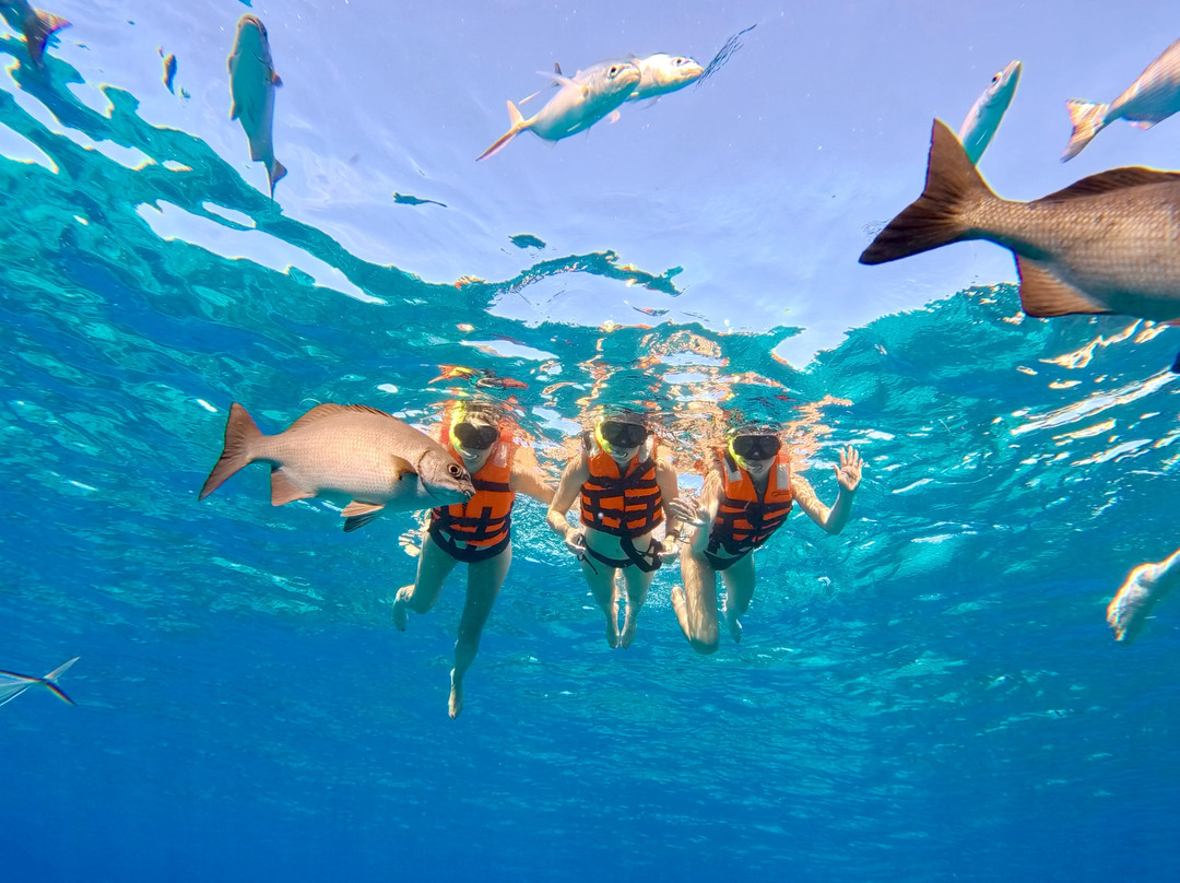 Top Cozumel Tours-San Miguel de Cozumel必去景点