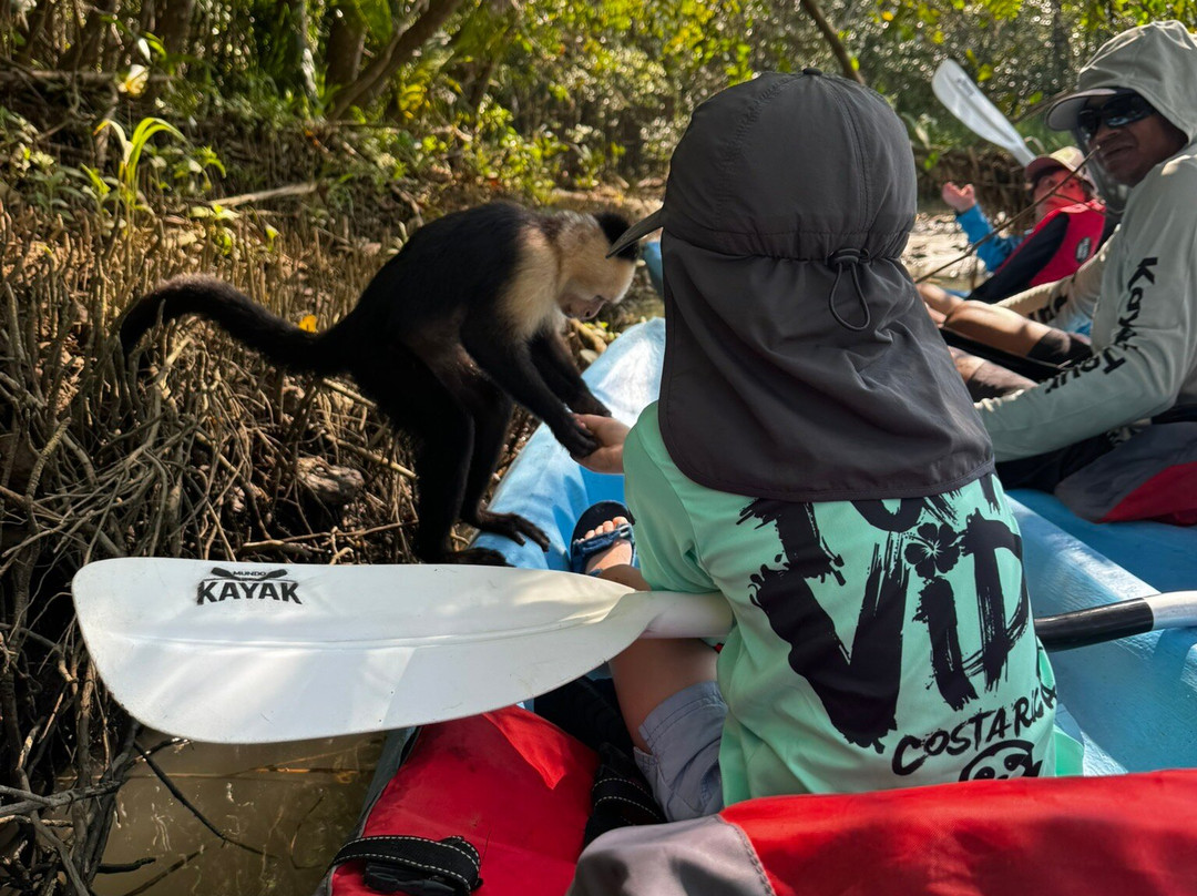 Manuel Antonio Mangrove Tours Cr-克波斯必去景点