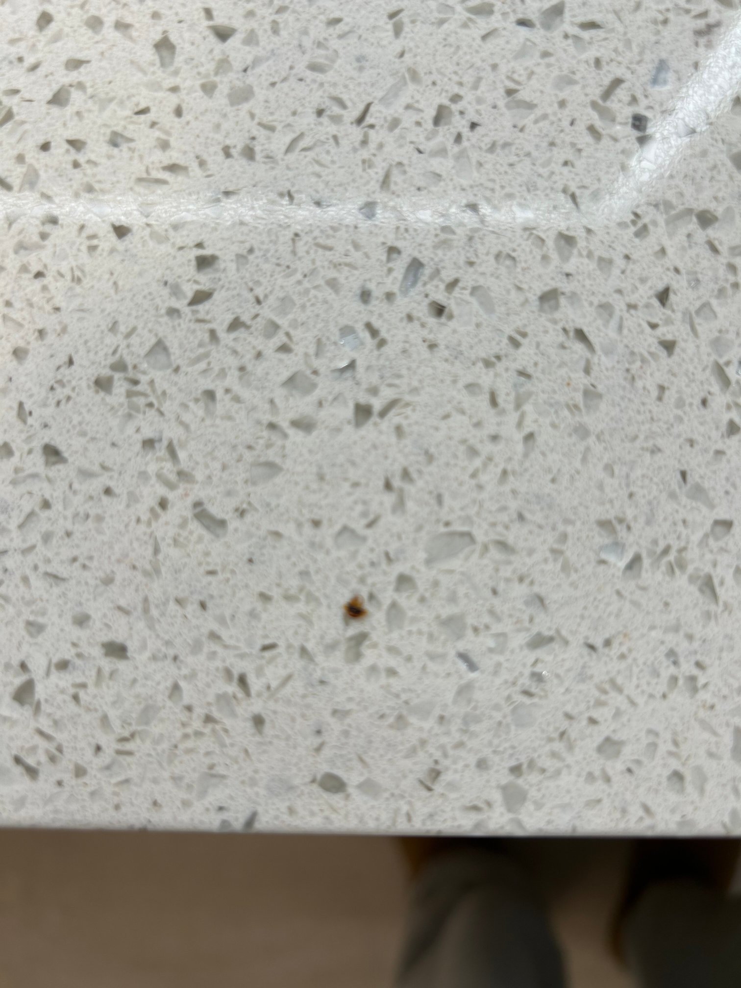 加兹登快捷假日&套房酒店-官方