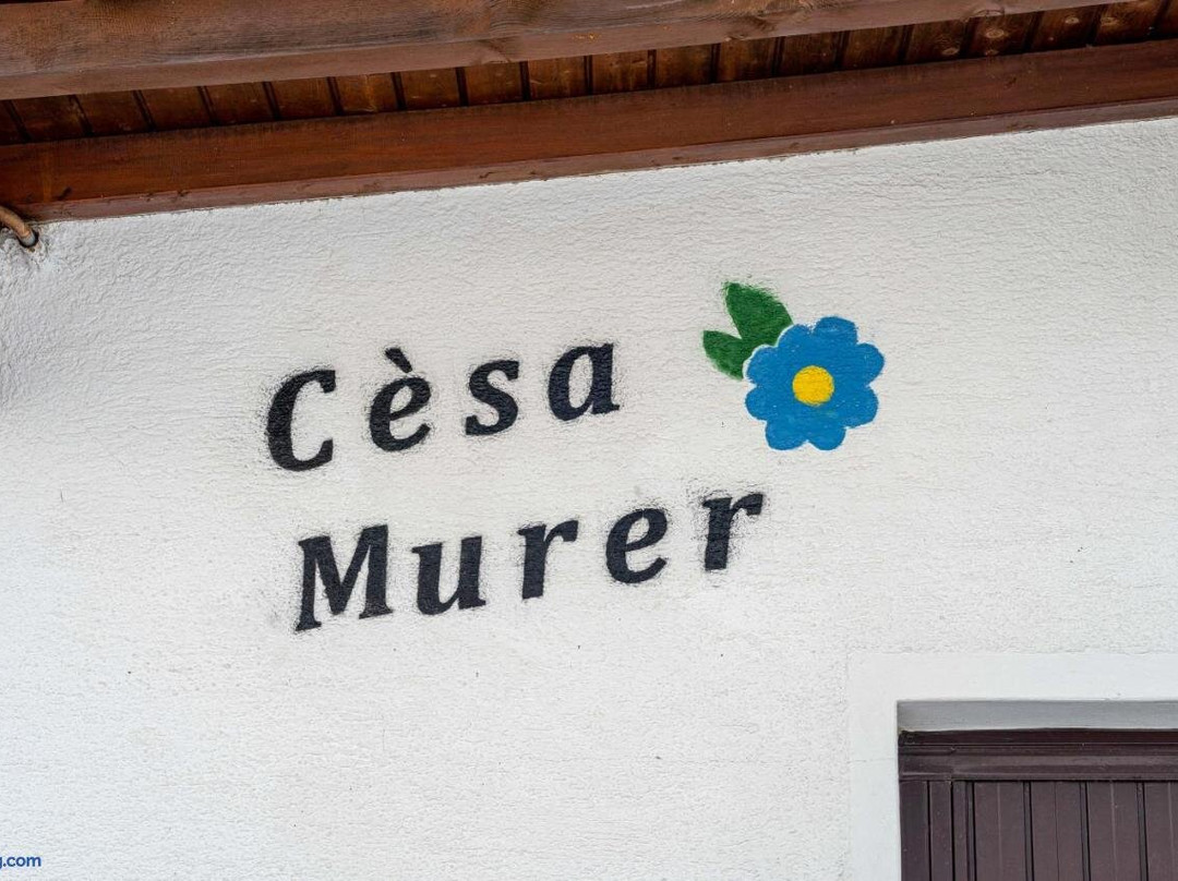 Ospitalità Diffusa Laste Dolomites - Cèsa Murer