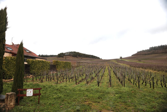 Domaine Philippe Et Fabienne Menand-Mercurey必去景点