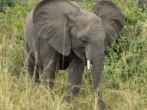 Africa Tours Adventure-坎帕拉必去景点