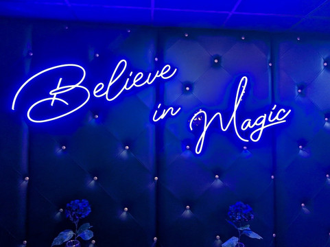 Zubrick Magic Theatre-圣彼德斯堡必去景点