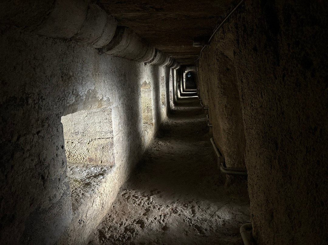 Castello Aragonese-萨萨里省必去景点