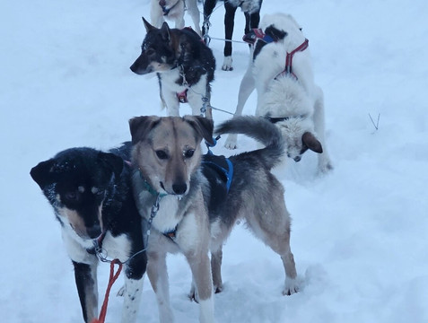 White Trail Adventures-基律纳必去景点