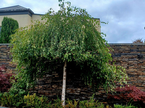 莫宁顿布鲁克兰酒店主图