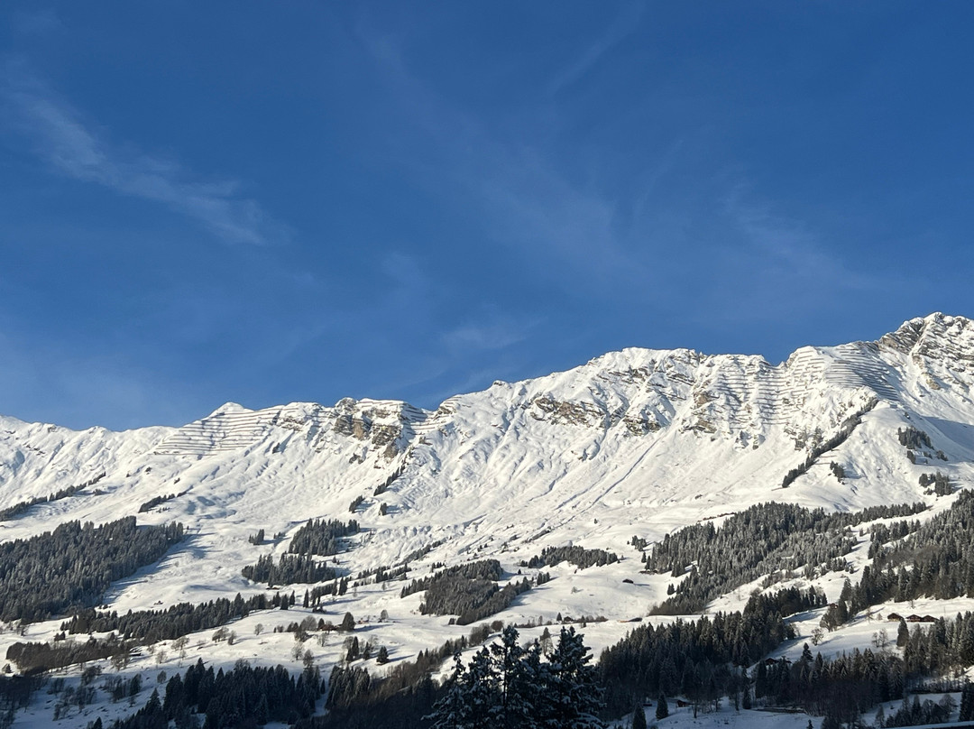 The Glacier Hotel主图