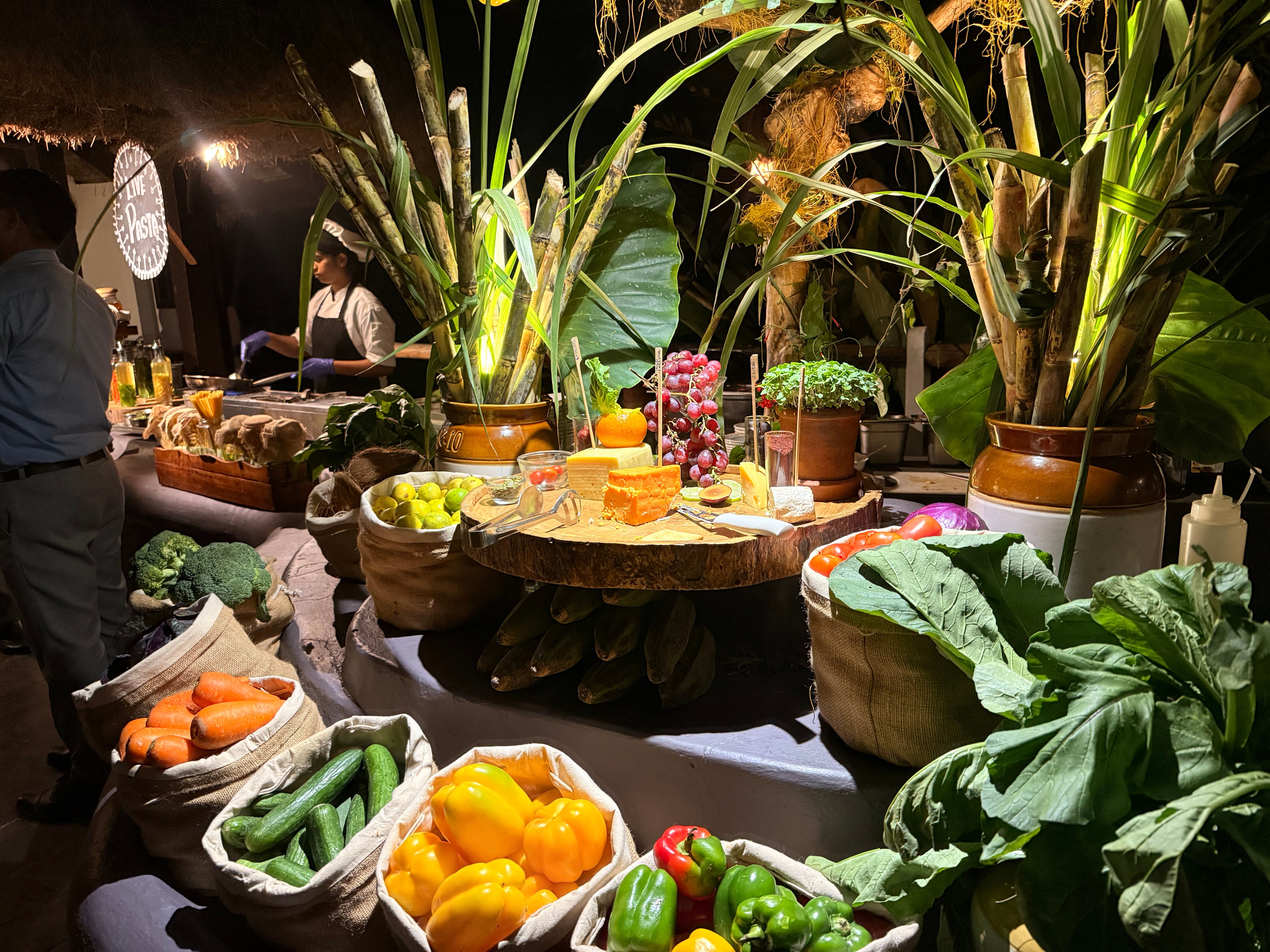 Evolve Back, Coorg-官方