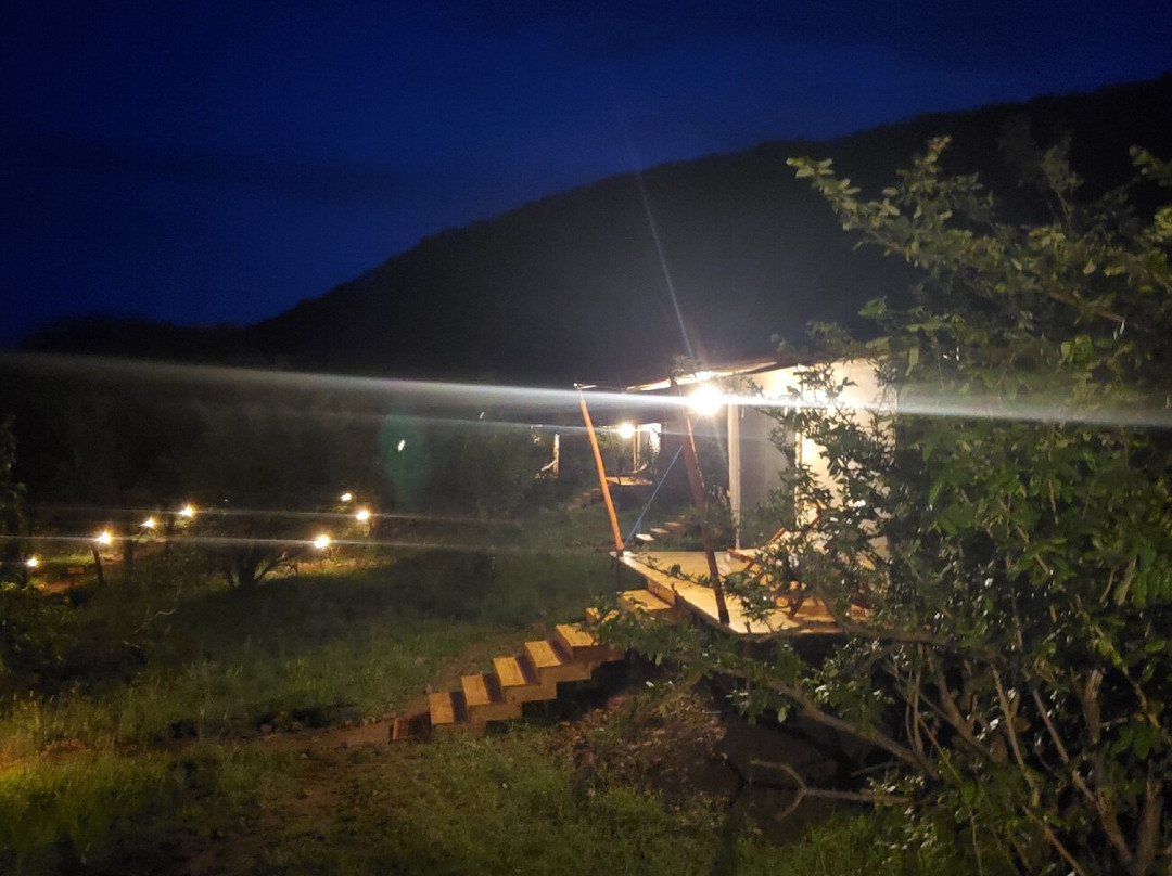 Mbuni Tented Camps-Seronera必去景点