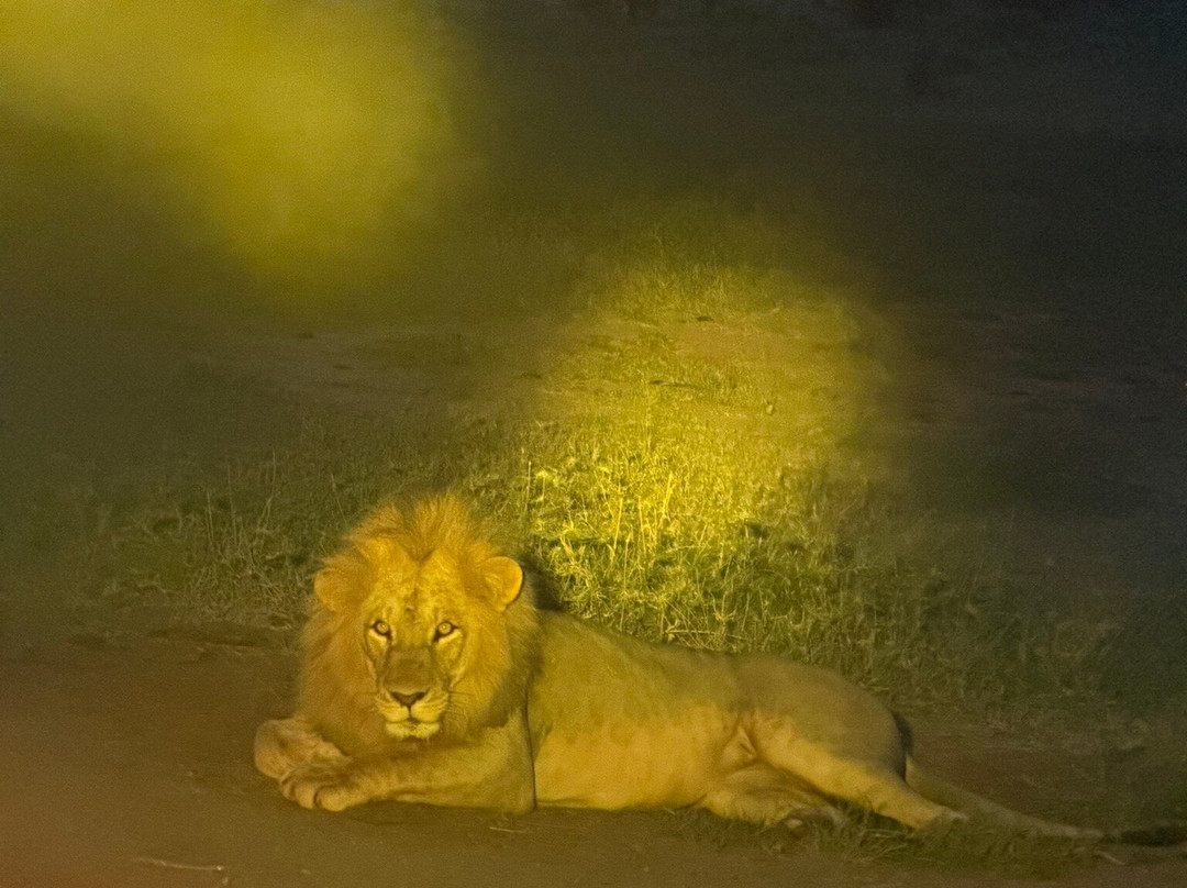 Discovery Kenya con Fragola-瓦塔木必去景点