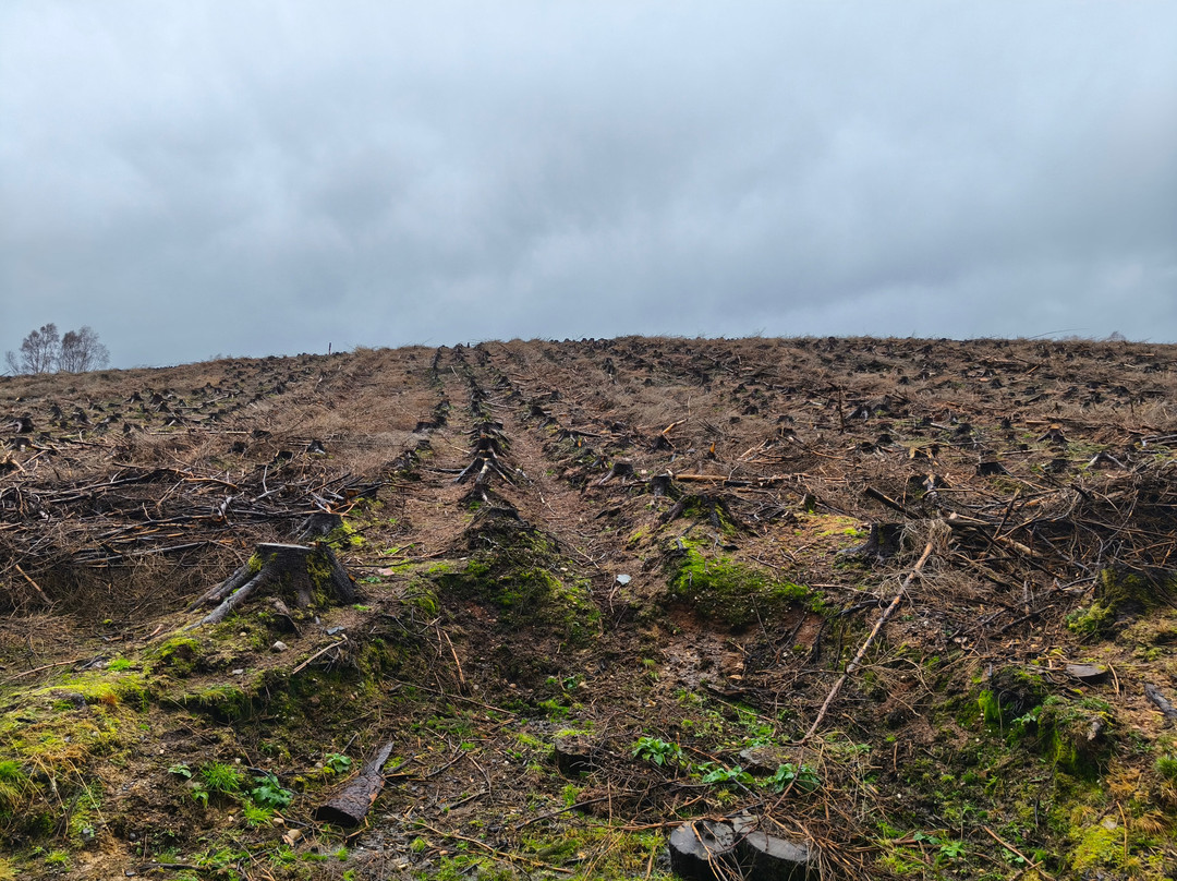 Highland Titles Nature Reserve-Duror必去景点