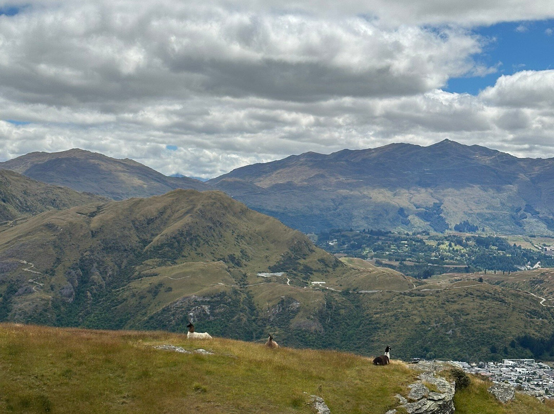 Deer Park Heights-皇后镇必去景点