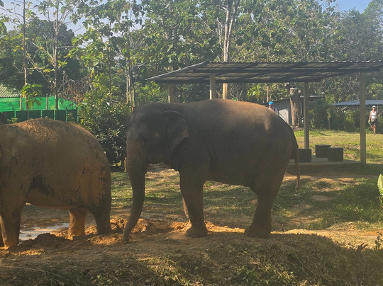 Lanta Island Elephant Lover-Khlong Hin必去景点