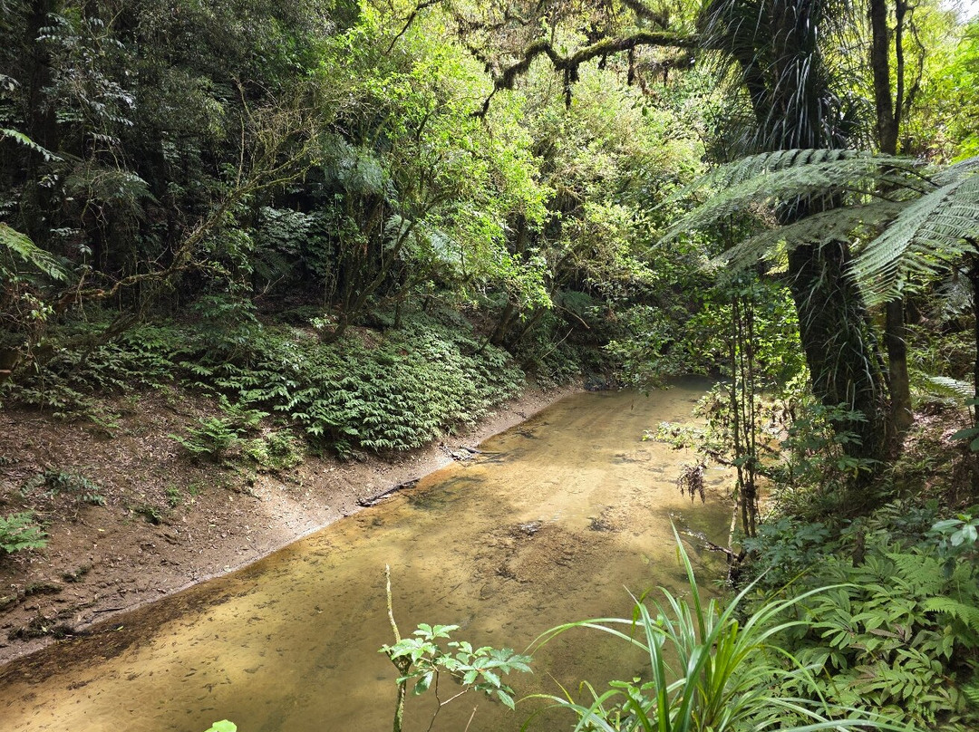 Ruakuri Walk-怀托摩洞穴必去景点