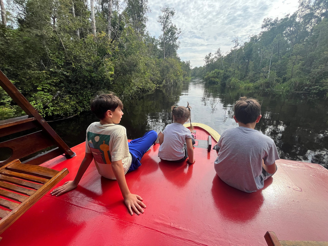 Guia En Borneo-Pangkalan Bun必去景点