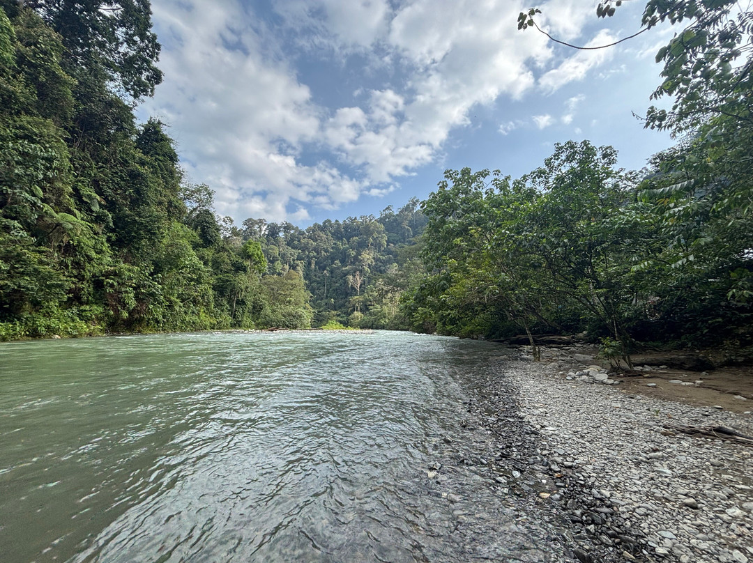 Sumatra Orangutan Explore-武吉拉旺必去景点