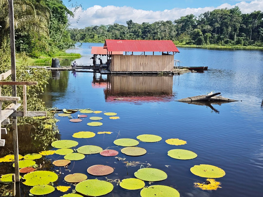 Amazon Tour-莱蒂西亚必去景点