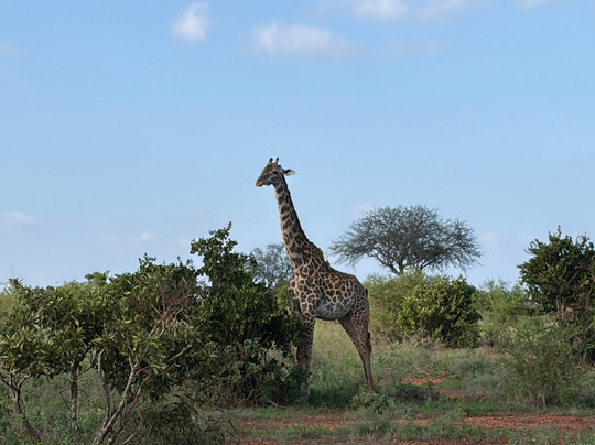 Viaggi in Kenya con Silvio - Safari e Tour Personalizzati-瓦塔木必去景点