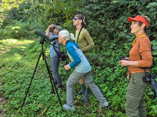 Bird Guide Cornelio-瓦图尔科必去景点