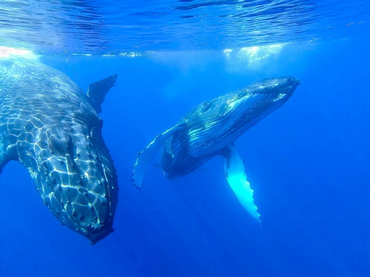 Liquid Hawaii-普阿克必去景点