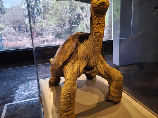 Charles Darwin Research Station-阿约拉港必去景点