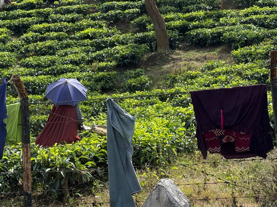 BOUT INDIA TOURS-斋蒲尔必去景点