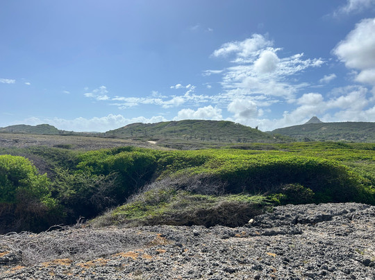 Shete Boka National Park-库拉索必去景点