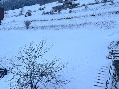 Chalet La Rugiada主图