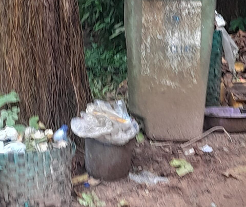 Banco National Park-阿比让必去景点