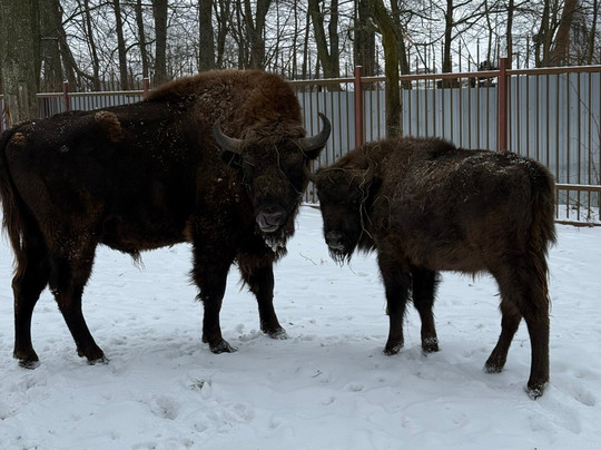 Dukorskiy Mayontak-Dukora必去景点