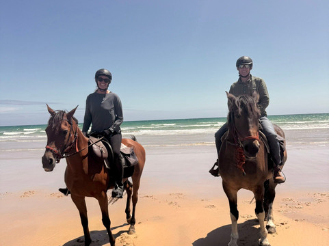 Cradle Country Adventures-摇篮山圣克莱尔湖国家公园必去景点