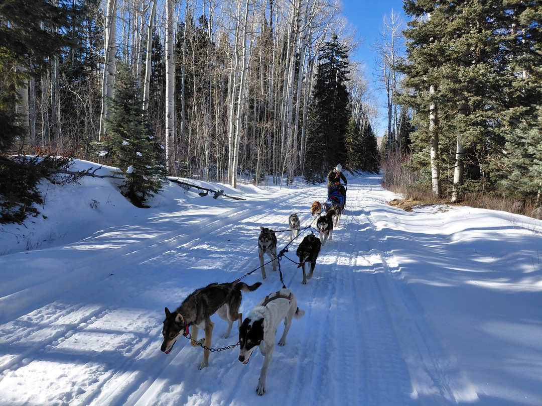 Mountain Paws-帕戈萨斯普林斯必去景点