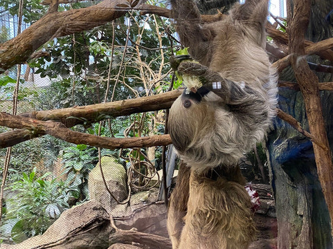 Zoo Karlsruhe-卡尔斯鲁厄必去景点