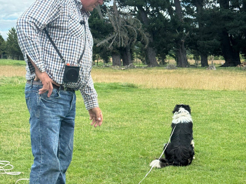 Rubicon Valley Farm-斯普林菲尔德必去景点