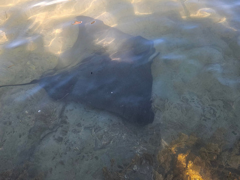 Dive Tatapouri-Gisborne Region必去景点