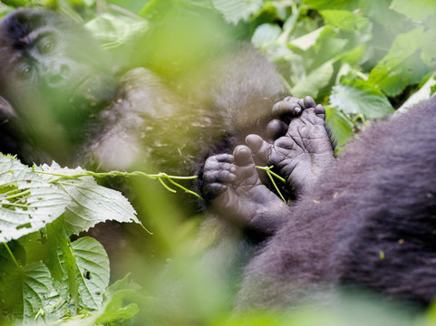 Native Africa Tours-坎帕拉必去景点