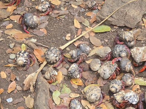 4 Elements Culinary & Wellness Center-Water Island必去景点