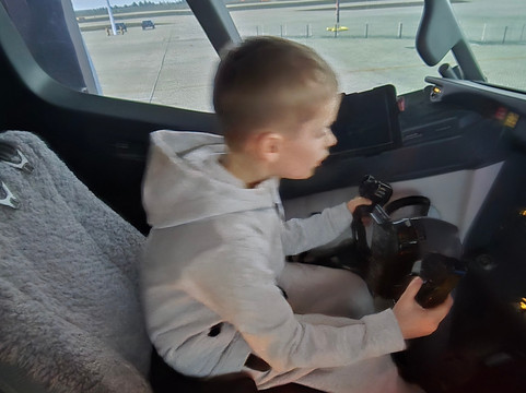 Sandpiper Flight Simulator-Somersham必去景点